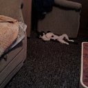  , -, 61  -  12  2012   