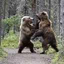 ���� Neznakomez, ������, 64 ���� - ��������� 27 ������� 2012