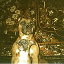 ���� ����, �������, 52 ���� - ��������� 3 ������ 2011 � ������ ���� ����������