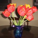 ���� �����, ����� - ��������� 8 ���� 2011 � ������ ������Ż