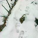 12.02.2012     