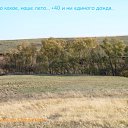   78 .,  -  25  2010   dczxbyf
