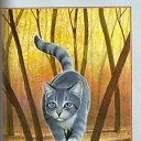 ���� ����, ������, 24 ���� - ��������� 17 ������� 2010 � ������ ���������