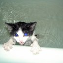  ,  -  21  2010     .