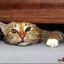 ���� ������, �������, 59 ��� - ��������� 4 ���� 2012 � ������ �������