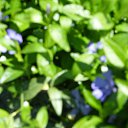 ���� Empire, ������-��-���� - ��������� 4 ��� 2010 � ������ ����