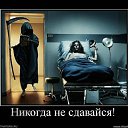 ���� ���������, �����-���������, 83 ���� - ��������� 1 ���� 2011 � ������ ������������� � �����������