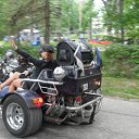  , , 61  -  3  2011     , 