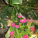 ���� �����, ���� - ��������� 19 �������� 2009 � ������ ����� �����