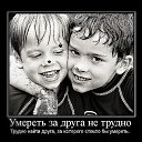 ���� ����, �����, 37 ��� - ��������� 3 ������� 2012 � ������ ���� ����������