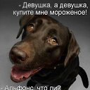 ���� ����, ������� - ��������� 6 ���� 2013 � ������ ���� ����������