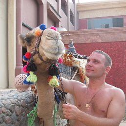 ���� ������, ������, 42 ���� - ��������� 26 ���� 2013