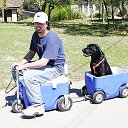 ���� ������, ������, 43 ���� - ��������� 29 ������� 2010 � ������ �����