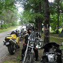  , , 61  -  3  2011     , 