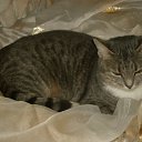 ���� Tatyana, ������, 38 ��� - ��������� 5 ���� 2013 � ������ ����� ��� ������������