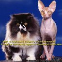  Lika,  -  3  2010      2 :))