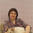 ���� ������, ����������, 56 ��� - ��������� 31 ������ 2012