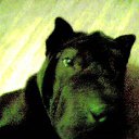 ���� ������, �������, 44 ���� - ��������� 29 ������� 2010