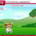  , -, 24  -  16  2011   PetLove