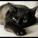 ���� ���������, ����, 51 ��� - ��������� 25 �������� 2011 � ������ �������