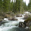 ���� ����� ����������, ����������, 105 ��� - ��������� 25 ������ 2013 � ������ ���� ����������