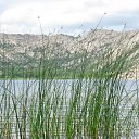  Irina, , 52  -  22  2010    