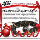 ���� ����, ������� - ��������� 4 ���� 2013 � ������ �2013 ��� - ��� ����