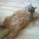  !!!!!!!!!!, , 60  -  23  2011   