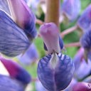 ���� �����, ��������, 45 ��� - ��������� 3 ������� 2010 � ������ ����� �������