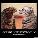 ���� ���������, ������, 32 ���� - ��������� 30 ���� 2013