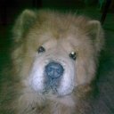 ���� ������, ������, 60 ��� - ��������� 24 �������� 2012 � ������ �������