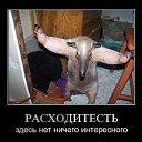  , , 44  -  8  2012   