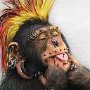 ���� ����, ������, 105 ��� - ��������� 22 ������ 2012 � ������ ���� ����������