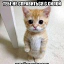  ,  -  25  2013    