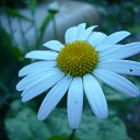  , -, 40  -  16  2011     