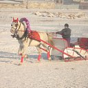 ���� ���������, ����������, 48 ��� - ��������� 26 ��� 2013 � ������ �� �����