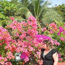 ���� ���������, ������ ��������, 49 ��� - ��������� 30 ������ 2012 � ������ ���� ����������