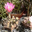 ���� ������, ������, 69 ��� - ��������� 5 ������ 2013 � ������ ���� ��������� ����������