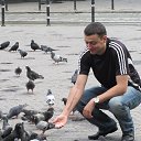 ���� �����, ��������������, 38 ��� - ��������� 10 ���� 2013