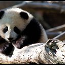 ���� ���4��, ������ - ��������� 20 ������� 2011