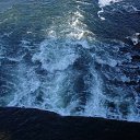 ���� �������, �������, 38 ��� - ��������� 11 ��� 2010 � ������ ���� ����� ����� �������