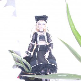 ���� &dagger;Evil Vampire&dagger;, �����-���������, 41 ��� - ��������� 20 ��� 2011