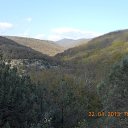  Alex, , 70  -  26  2013    