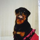 ���� �����, ������, 58 ��� - ��������� 24 ���� 2009 � ������ �����