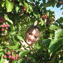 ���� ���������, ���������, 33 ���� - ��������� 18 ������ 2013 � ������ ������ ��������