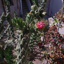 ���� ����, �����, 60 ��� - ��������� 9 ���� 2012 � ������ ��Ψ ����������� � ������ܻ