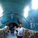 ���� Shirak, ������, 49 ��� - ��������� 25 ������� 2012 � ������ ���� ����������