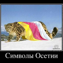 ���� ����, ������, 43 ���� - ��������� 20 ��� 2012