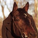 ���� �������, �����-���������, 50 ��� - ��������� 13 ������ 2012