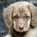 ���� &bull;&deg;&bull;&bull;���&bull;&deg;&bull;&bull;, �������, 24 ���� - ��������� 29 ���� 2012 � ������ ��������